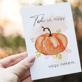 Őszi képeslap csomag 3 db-os