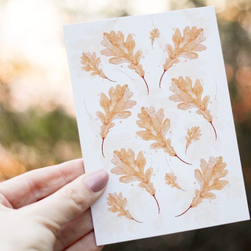 Őszi képeslap csomag 6 db-os