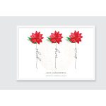 Anya virágoskertje, falikép nevekkel