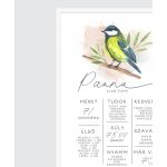 CINEGE SZÜLETÉSNAPI POSZTER 