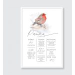 VÖRÖSBEGY SZÜLETÉSNAPI POSZTER 