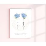 Nagymama virágoskertje, falikép nevekkel