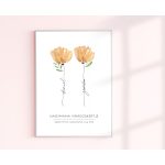 Nagymama virágoskertje, falikép nevekkel