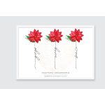 Nagymama virágoskertje, falikép nevekkel